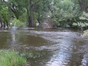 Laramie River Flooded