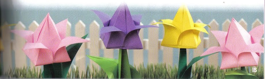 Origami Paper Folding Class Wednesday, June 10